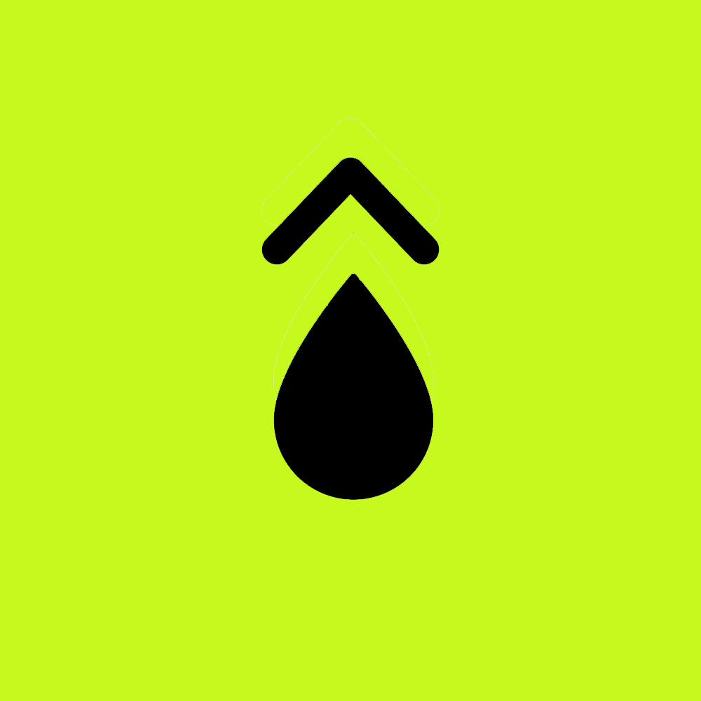 Petroleum Strategy